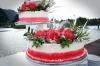 Wedding planner&Consutation