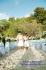 Wedding planner&Consutation