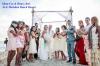 Wedding planner&Consutation