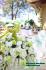 Wedding planner&Consutation