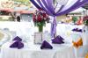 Flower Arrangement