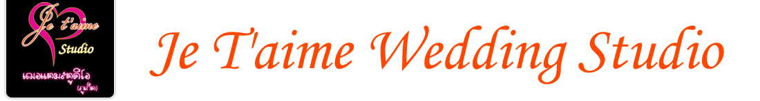 user.company_name